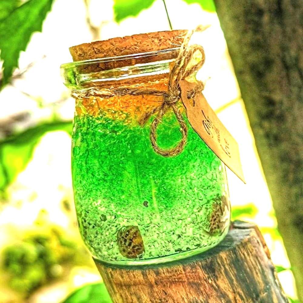 Gel_kroglice-kristal_disava_dom_mix_6